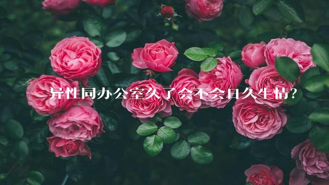异性同办公室久了会不会日久生情？
