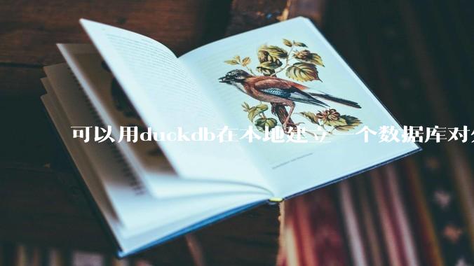可以用duckdb在本地建立一个数据库对外服务吗？