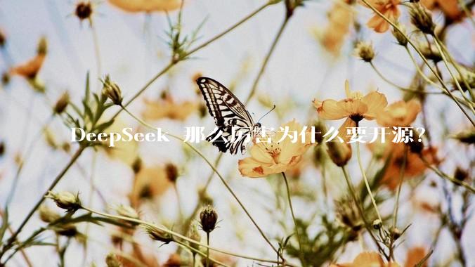 DeepSeek 那么厉害为什么要开源？
